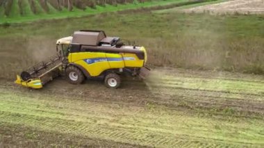 Villanova, İtalya 18 Ekim 2024: Sarı kombine biçerdöver tarlada soya fasulyesi hasat ediyor, arkasında kesik bitkiler bırakıyor