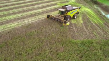 Villanova, İtalya 18 Ekim 2024: Sarı hasatçı soya fasulyesi tarlası hasat ediyor