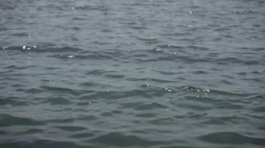 Güneş ışığı dalgalanan suyun yüzeyine yansıyor.