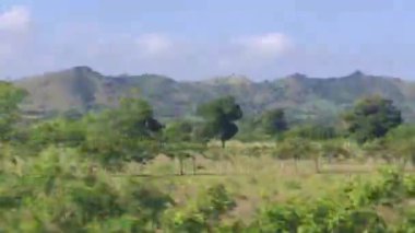 Gezgin, Dominik Cumhuriyeti 'nin bereketli manzaralarını hareket halindeki bir trenden yakalıyor.