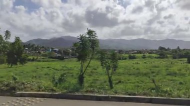 Dominik Cumhuriyeti kırsalında yemyeşil tarlalar ve dağlar görülüyor.