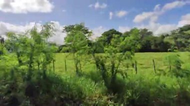 Mavi gökyüzünün altındaki çitlerle çevrili engin tarlalar Dominik Cumhuriyeti 'nde huzurlu bir manzara sunuyor.