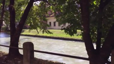 Treviso, İtalya 1 Ocak 2025: Ağaçların arasından süzülen güneş ışığı Treviso, İtalya 'daki nehir boyunca hafifçe akan sulara gölge düşürüyor