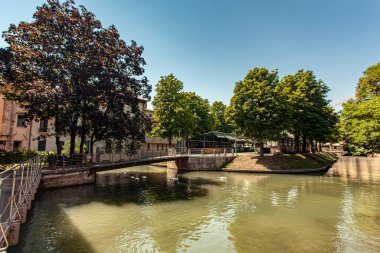 Treviso, İtalya 1 Ocak 2025: Treviso, İtalya 'da beyaz kuğularla yüzen cagnan büyük kanalı manzarası