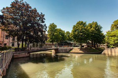 Treviso, Italy 1 January 2025: Beautiful view of cagnan grande canal with white swans swimming in treviso, italy clipart