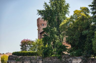 Treviso, İtalya 1 Ocak 2025: Güneşli bir yaz gününde Treviso, İtalya 'da ağaçların arasından bakan tuğla kule