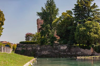Treviso, İtalya 1 Ocak 2025: Cagnan kale kulesinin Treviso, İtalya 'daki Bereketli nehir boyunca yemyeşil bitki örtüsünü dikizleyerek manzaralı bir manzara