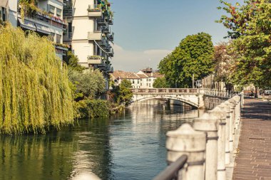Treviso, İtalya 1 Ocak 2025: Treviso, İtalya 'da sakin sular Treviso, İtalya' da bir köprünün altından akıyor, meskun binalar, ağaçlar ve ağlayan bir söğüt ağacı ile