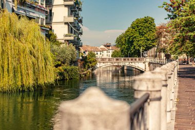 Treviso, İtalya 1 Ocak 2025: Ağlayan söğüt ağacı, köprü ve Treviso, İtalya 'daki binaların manzarası