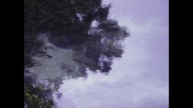 Denpasar, bali Haziran 1985: Mor renkli su, 1980 'lerin ortalarındaki belgesel keşifleri sırasında Bali' nin egzotik tropikal ortamının dingin manzarasını yakalıyor.