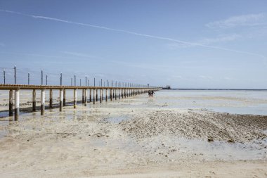Turistler, Mısır 'ın Marsa alam kentindeki sığ sulara uzanan uzun ve ahşap bir iskelede yürüyorlar.