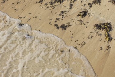 Marsa Alam, Mısır 'da bir plajda deniz yosunuyla karışık altın kum üzerinde yumuşak dalgalar, güzel desenler oluşturur.