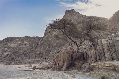 Tek bir ağaç, Marsa alam, Mısır 'da yüksek kaya oluşumlarına ve geniş bir çöl kanyonuna karşı dirençle yükseliyor. Doğanın azmini vurguluyor.