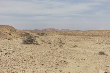Marsa alam, Mısır yakınlarındaki doğu çölündeki kayalık arazi ve seyrek bitki örtüsünün manzarası bulutlu bir gökyüzünün altında