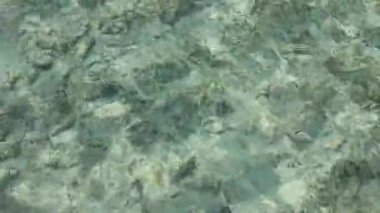 Şeffaf turkuaz su yüzeyi Marsa alam, Mısır 'daki sığ bir mercan resifinin üzerinden yavaşça akıyor ve güzel yansımalar ve desenler yaratıyor.