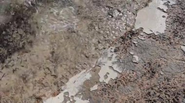 Kristal berrak su yavaşça Marsa Alam, Mısır 'ın kumlu sahillerini siler ve sakin bir sahil manzarası yaratır.