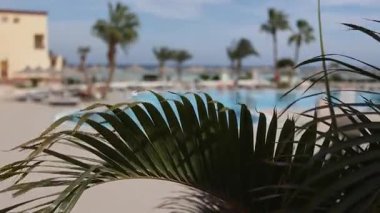 Tropik palmiye yaprakları rüzgarda hafifçe sallanıyor, sakin bir tatil köyü havuzu ve Marsa alam, Mısır 'daki kızıl deniz manzarasını çerçeveliyor.