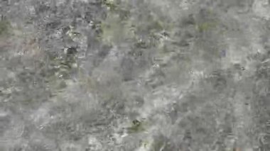 Saf su kayalık nehir yatağının üzerinde yavaşça akıyor, büyüleyici ışık noktalı dalgalar ve kristal berrak yansımalar yaratıyor.