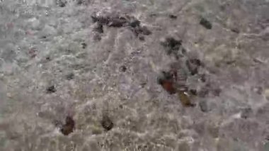 Parlak güneş ışığı altında parlayan renkli çakıl taşları, kristal berrak dalgalar Marsa Alam sahilinde canlı kıyı şeridinde yavaşça süzülüyor, kızıl deniz, Mısır