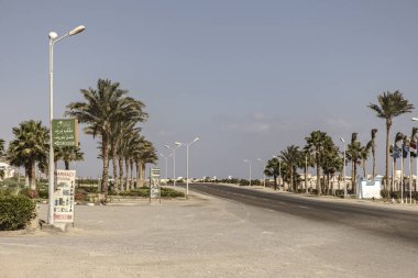 Marsa alam, Mısır 9 Şubat 2025: boş bir yolu kaplayan palmiye ağaçları, parlak, güneşli bir gökyüzü altında, Marsa alam, Mısır 'da bir tatil köyüne giden tropikal bir atmosfer yaratır.
