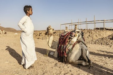 Marsa alam, 9 Şubat 2025: Geleneksel giyinmiş genç bir çocuk Marsa Alam, Mısır yakınlarındaki çölde dinlenen bir devenin yanında gururla duruyor.