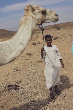 Marsa alam, 9 Şubat 2025: Genç bedevi, geleneksel göçebe yaşam tarzını sergileyerek Marsa alam, Mısır 'ın kayalık çöllerinde dromedarisini yönetiyor.
