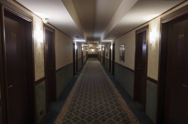 Uzağa uzanan boş otel koridoru, duvarları kaplayan kapılar ve zarif tasarımı geliştiren desenli bir halı.