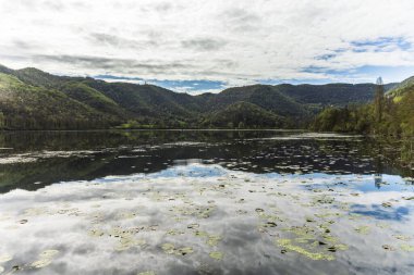 Fimon gölünde yüzen nilüferler gökyüzünü ve Colli Berici bölge parkının yeşil tepelerini yansıtıyor.