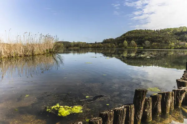Tahta direkler ve sazlıklar, güneşli bir bahar gününde İtalya 'nın Veneto bölgesinde bulunan güzel bir göl olan Fimon Gölü' nün sakin sularına yansıyor.