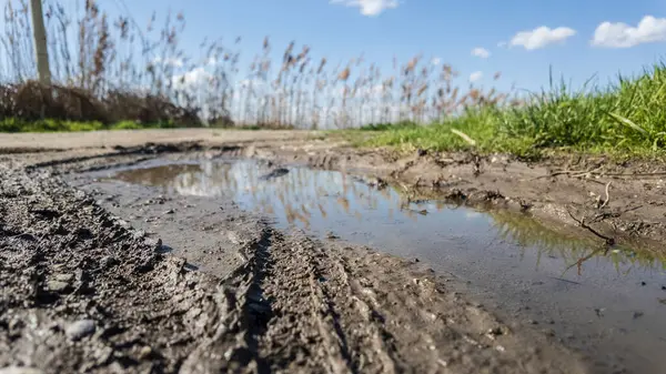 Su, kırsaldaki bir baston tarlasının yakınındaki çamurlu toprak yolda gökyüzünü yansıtıyor.