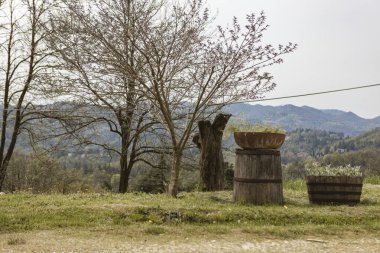 Tahta variller, çiçek saksısı tutacakları olarak yeniden tasarlanarak kayan tepeler ve ağaçlara karşı kırsal bir cazibe yaratır.