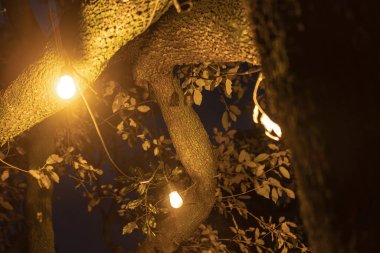 Ağaç dallarına sıcak ampuller asmak, huzurlu bir gece sahnesinde büyülü bir ortam yaratmak, açık havayı güzelleştirir.