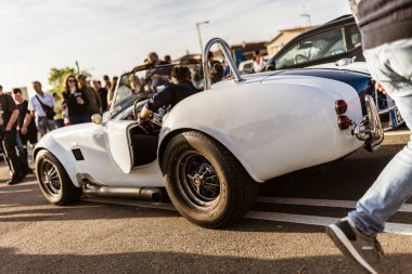 Roma, İtalya 4 Mayıs 2025: Sürücü, insanların izlediği bir araba fuarı sırasında mavi çizgili beyaz bir ac kobraya biniyor.