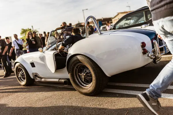 Roma, İtalya 4 Mayıs 2025: Sürücü, insanların izlediği bir araba fuarı sırasında mavi çizgili beyaz bir ac kobraya biniyor.