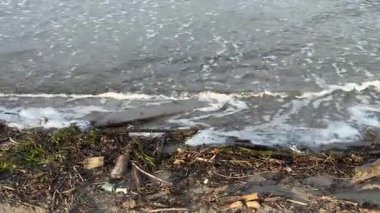 Yumuşak dalgalar sottomarina sahilinin kumlu sahilini nazikçe okşayarak sakin bir sahil manzarası yaratıyor.