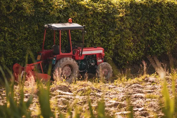 Roma, İtalya 10 Mayıs 2025: Kırsal alanda tarla süren kırmızı traktör, tarım ve tarım faaliyetlerini temsil ediyor