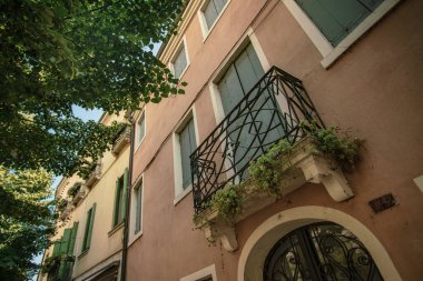 Rovigo 'daki geleneksel bir italyan binasının demirden yapılmış balkonundan dökülen ve tarihi mimarinin cazibesini gözler önüne seren bitkiler.