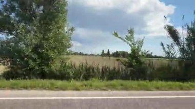 Verdant kırsal yol bereketli yeşil çayırlar boyunca kıvrılıyor, ağaçlarla çevrili ve geniş tarım arazisi parlak yaz gökyüzü altında