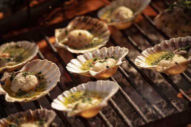 Taze deniz tarakları, sarımsak, maydanoz ve tereyağı ile tatlandırılmış ızgarada ızgara yaparak ağız sulandıran deniz ürünleri tabağı oluşturuyorlar.
