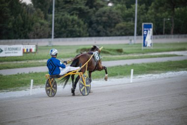 Padua, İtalya 8 Temmuz 2025, yarış pistinde bir atı sürerken asık suratlı jokey, koşum takımı yarışında hız ve rekabet gösteriyor.