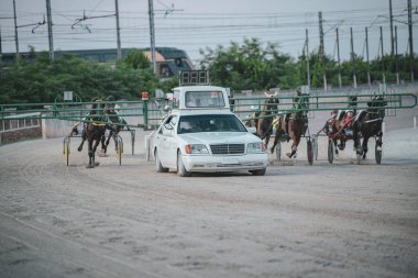 Padua, İtalya 8 Temmuz 2025. Atlar somurtuyor ve toprak yolda koşuyor. Koşum takımı yarışında önde gelen bir arabanın yanında koşuyor.