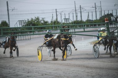 Padua, İtalya 8 Temmuz 2025, koşum takımı yarışında yarışan atlar ve jokeyler hipodromda bitiş çizgisini geçiyorlar.