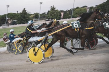 Padua, İtalya. 8 Temmuz 2025. Atlar jokeylerle somurtuyor. Koşum takımlarıyla toprak yolda yarışıyorlar.