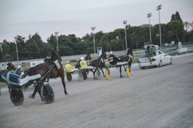 Padua, İtalya 8 Temmuz 2025. Atlar ve jokeyler bir koşum takımında yarışıyor.