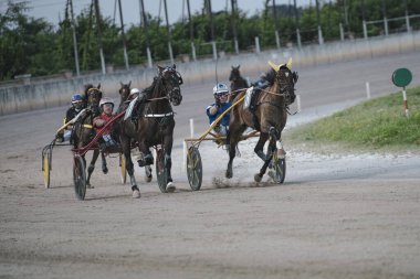 Padua, İtalya 8 Temmuz 2025, heyecan verici bir koşum takımı yarışında atlar ve sürücüler, toprak yolda bir virajı hızla dönüyor, gösteri yeteneği ve rekabetçi ruh.