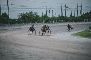 Padua, İtalya 8 Temmuz 2025, jokeyler ata biniyor koşum takımı pistinde somurtuyor, zafer için yarışıyorlar.