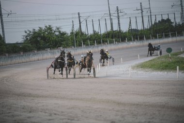 Padua, İtalya 8 Temmuz 2025, koşumlu atlar ve sürücüler toprak pistte yarışıyor, güç hatları ve yeşillik alanlarına karşı hız ve beceri sergiliyorlar.
