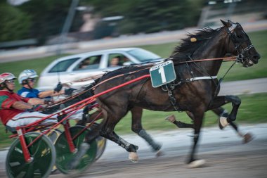 Padua, İtalya 8 Temmuz 2025, güçlü atların arkasında somurtan iki jokeyle yarış halindeki dinamik sahne, yarış pistinde hız ve yarışma gösterileri.