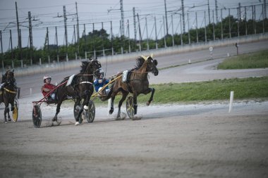 Padua, İtalya 8 Temmuz 2025, bir hipodromun toprak pistinde koşum takımı yarışına katılan jokeylerle somurtan atlar.