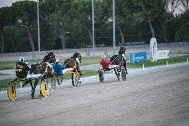 Padua, İtalya 8 Temmuz 2025, koşum takımı yarışçıları toprak pistte yarışıyor, hız ve beceri gösteriyorlar. Atlar ve sürücüler hareket halinde, yemyeşil bir zemin ile çevrili